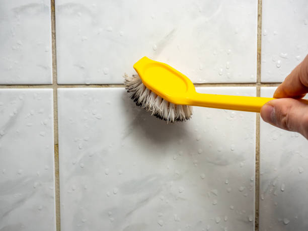 Best Mold Testing  in Bellevue, PA
