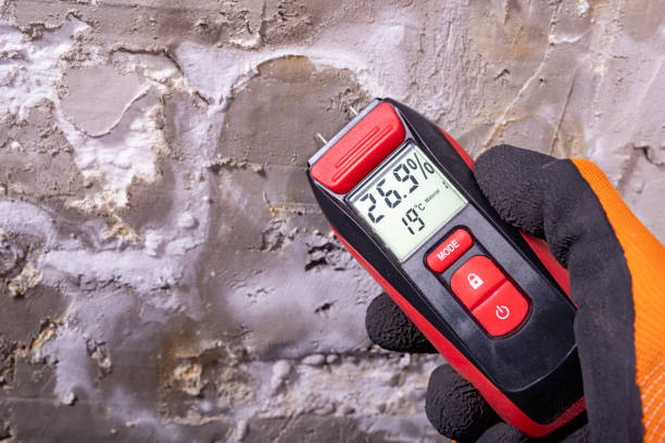 Best Professional Mold Removal  in Bellevue, PA
