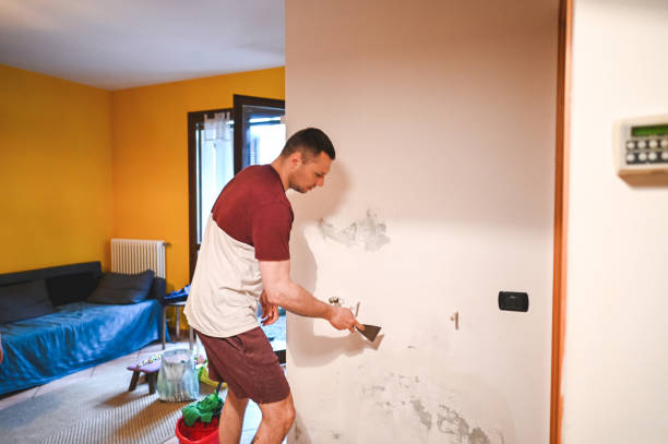 Best Mold Damage Repair  in Bellevue, PA